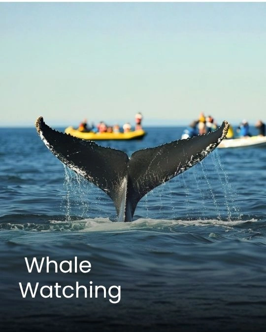 Image gallery marquee